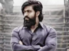 KGF star Yash's 'Toxic' movie lands in controversy over felling of trees in Bengaluru for shooting. State govt takes action