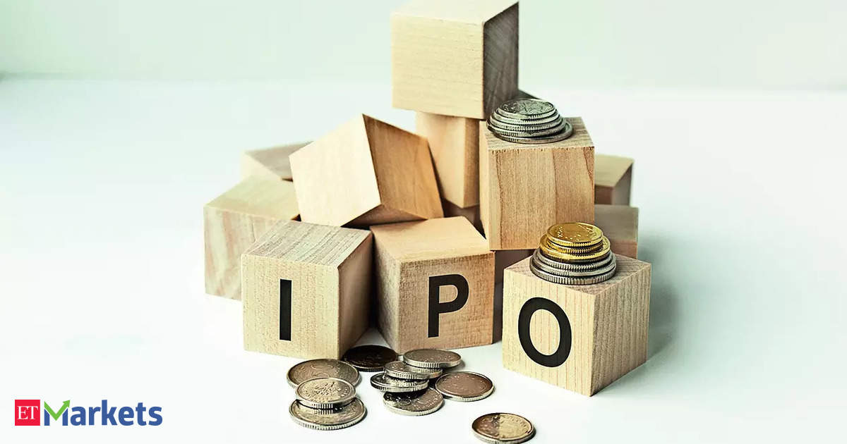 Sagility India IPO to open for subscription on November 5, price band fixed at Rs 28-30 per share