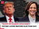 Trump vs Harris: How close are the swing states?