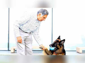 Ratan Tata with his dog Tito