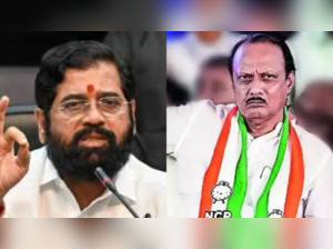 The BJP has moved 17 of its candidates to the Mahayuti parties for the elections. Twelve candidates joined the Shiv Sena, four joined the NCP, and one will contest under the RPI quota on the BJP symbol.