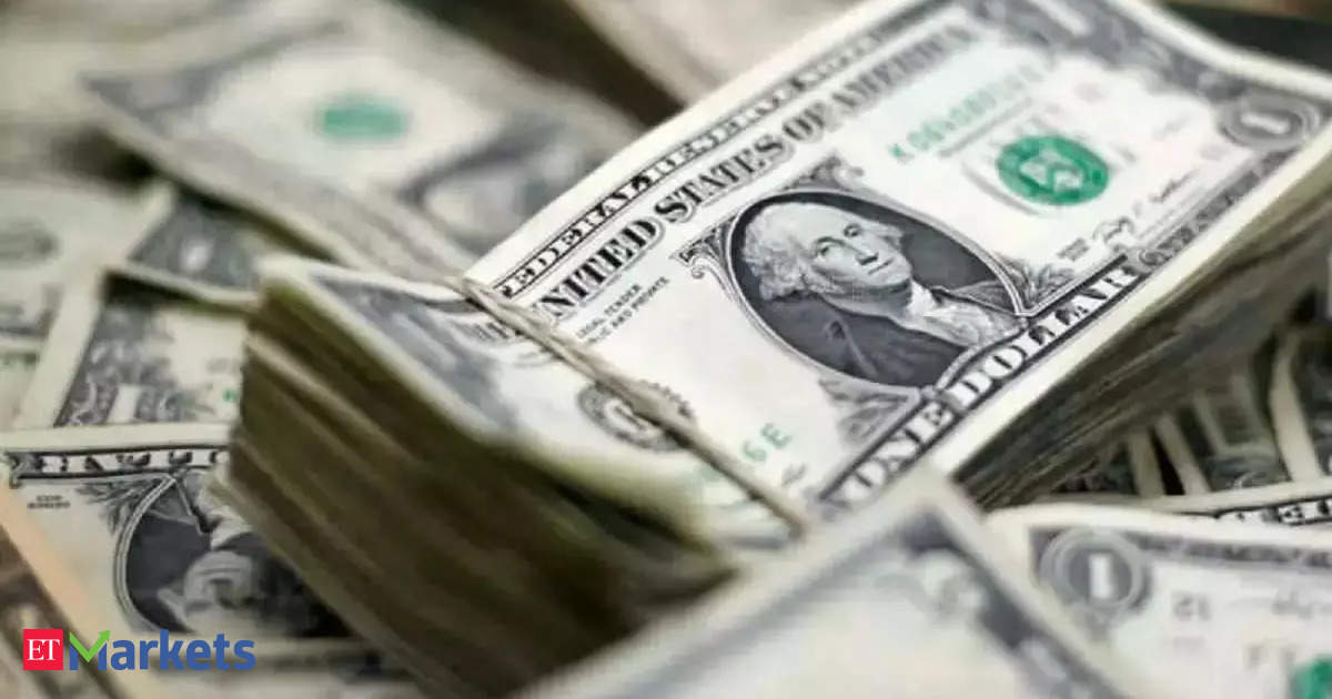 India’s foreign exchange reserves decline by .5 billion