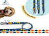 Best Dog Leashes: Keeping Your Furry Friend Safe and Happy