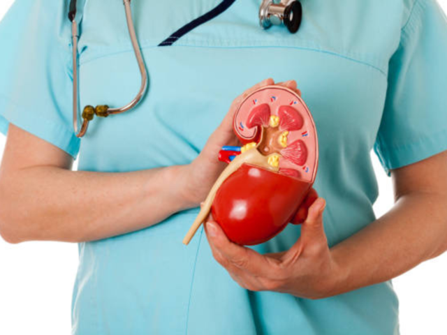 What is kidney scarring