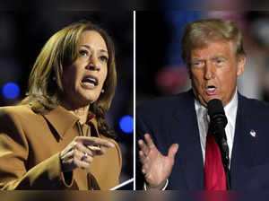 Donald Trump Kamala Harris