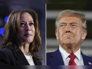 Will Donald Trump or Kamala Harris win the U.S elections? Here's what polls, odds and historians say