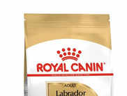 Explore Royal Canin Dog Food for Different Breeds: Tailor-Made Nutrition for Your Pet