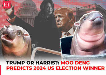 Viral Thai hippo Moo Deng predicts victory for Donald Trump ahead of 2024 US election