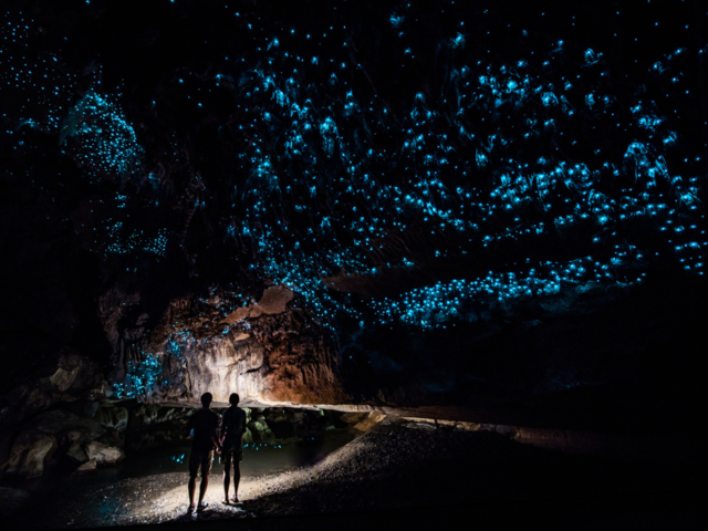 Waitomo Caves, New Zealand