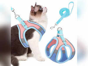 Cat Leashes