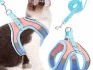 Best Cat Leashes for Walking, Training, and Travel