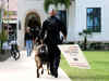 US Election: Capitol Police detain man with torch and flare gun on election day