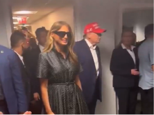 fake melania