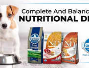 Best Farmina N and D Dog Food: Delicious options for your canine companion