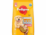 The Best Pedigree Dog Foods for a Happy, Healthy Pet