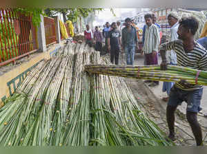 Prayagraj: A labourer carries a bunche of sugarcane at a wholesale market during...