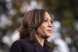 What went wrong for Kamala Harris?