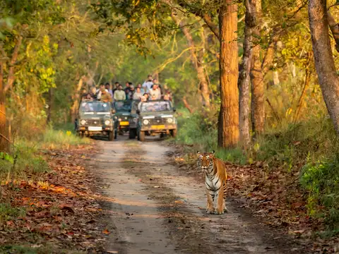 What to do: parks & sanctuaries