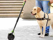 10 Best Pooper Scoopers for Dogs: Clean Up in a Snap with these Must-have Tools