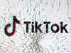 Canada shuts TikTok's offices over national security risks