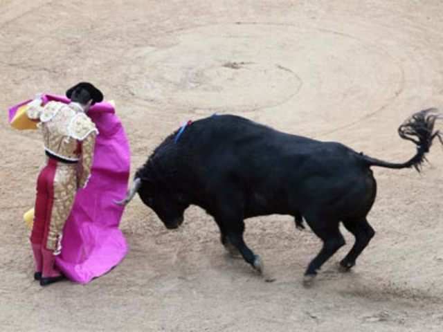 Bullfight in Spain