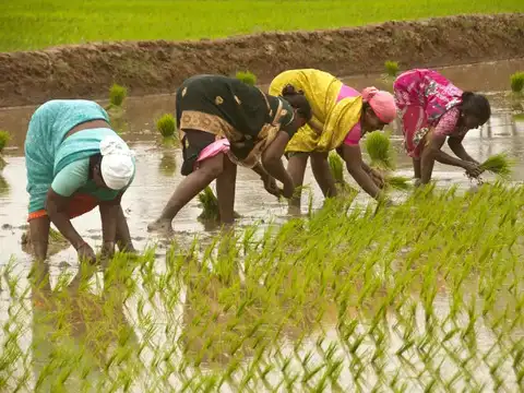 Agrarian Distress
