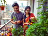 Bengaluru couple posts garden pics on FB, ends up in jail after followers spot ganja in flower pots