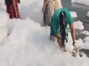 Woman washes hair in Yamuna with hazardous foam in viral video; Social media exclaimed 'not shampoo'; Here's clip