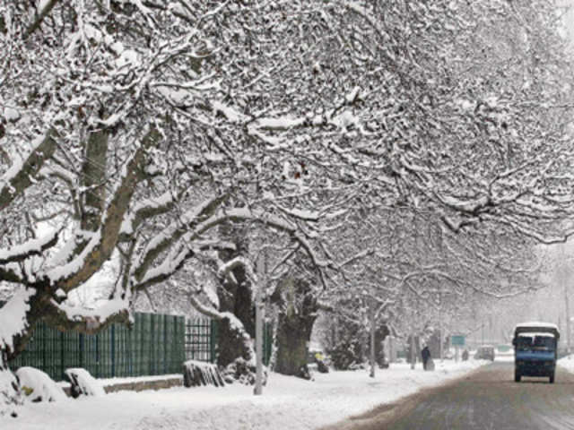 Snowfall in Srinagar