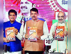 BJP Poll Promises: 25L Jobs, Hike in Allowance for Women