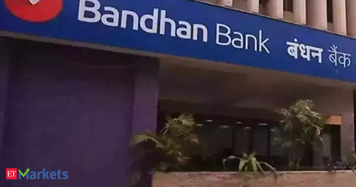 Bandhan Bank, small finance banks see higher slippages as microfinance lending persists