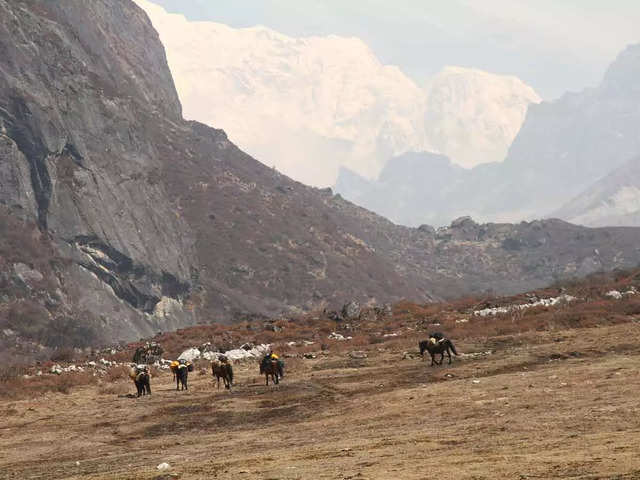 Goechala Trek, Sikkim