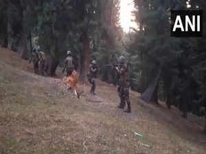 Search operation underway in J-K's Baramulla after Sopore encounter