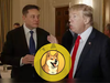 A dope for DOGE (and Dogecoin): Trump taps Musk in efficiency team, crypto fans rejoice