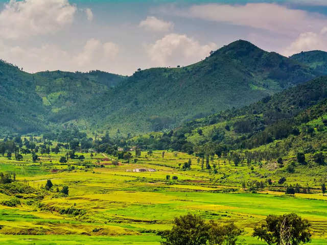 Araku Valley, Andhra Pradesh