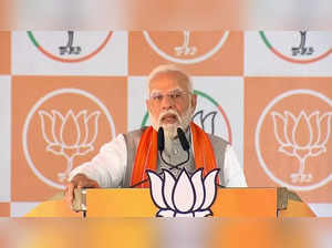 ​PM Narendra Modi during his rally in Chimur in Chandrapur.