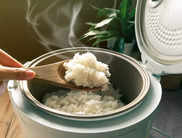 Best Rice Cookers in India to Hands-Off Rice Cooking (2024)