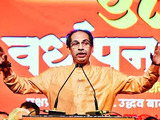 Campaign for all candidates: Uddhav Thackeray urges MVA allies