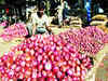 Onion prices likely to cool down further with arrival of new kharif crop: Govt official