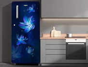 10 Best Direct Cool Refrigerators from Top Brands like LG, Whirlpool, Samsung and more (2024)