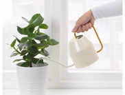 10 Best Watering Cans for Indoor and Outdoor Plants