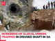 Illegal miners trapped in abandoned mine in SA's Stilfontein