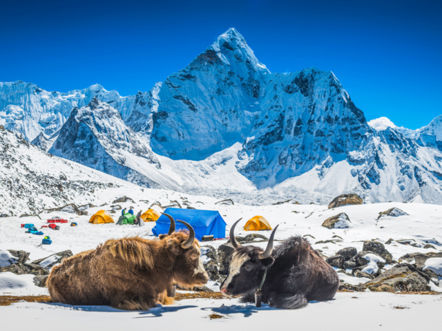 Nepal