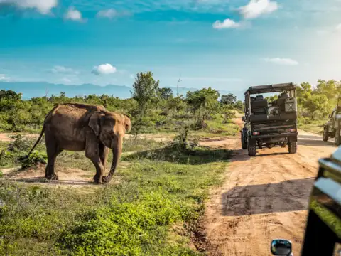 Sri Lanka