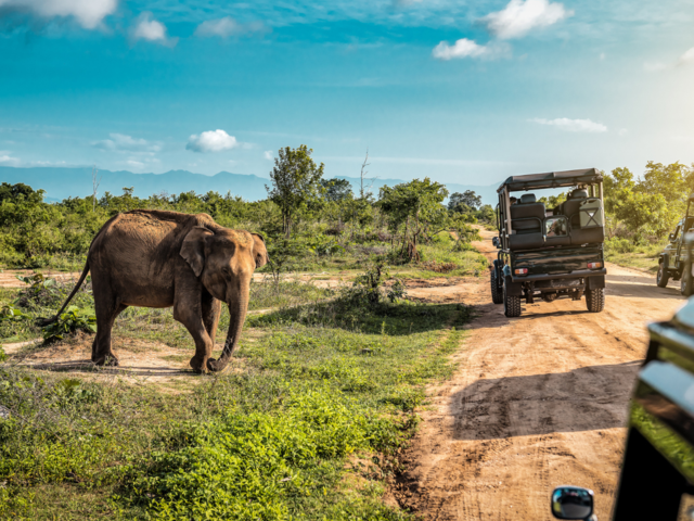 Sri Lanka