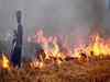 Amid worsening air pollution in North India, Punjab hits record number of farm fires this season