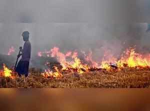 Day after season’s worst of 730, Pb farm fires fall to 237