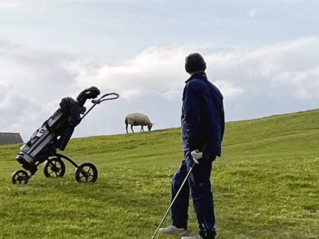 Brora​ golf course