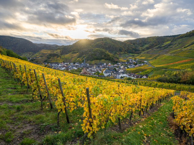 Ahr Valley, Germany