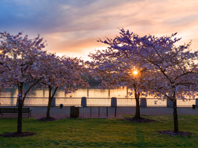 Portland, Oregon, USA